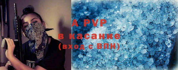 прущие крисы Белокуриха