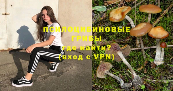 MDMA Беломорск