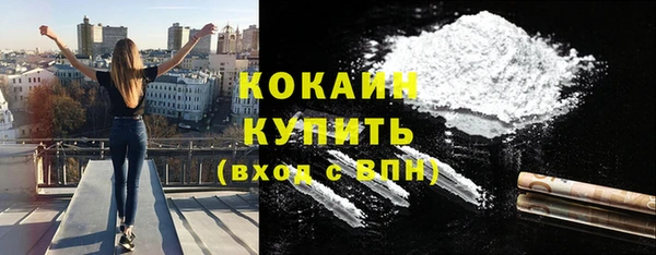 прущие крисы Белокуриха