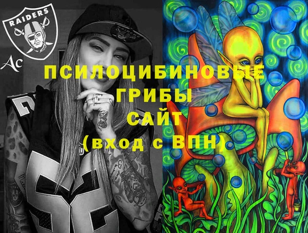 прущие крисы Белокуриха