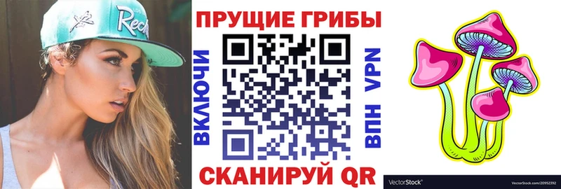Галлюциногенные грибы Cubensis  Торопец 
